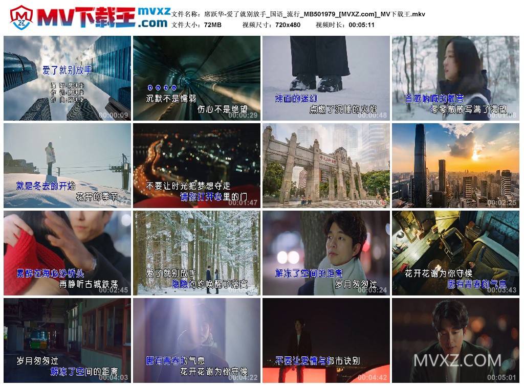 席跃华-爱了就别放手_国语_流行_MB501979